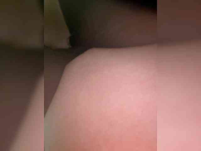 EvanShell1 webcam