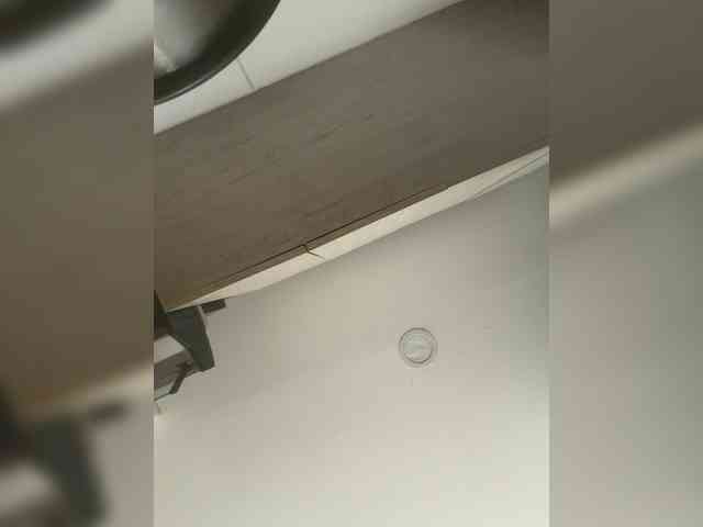 EvanShell1 webcam
