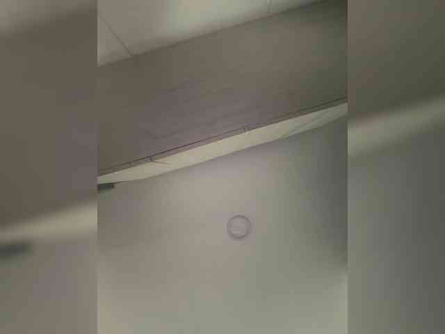 EvanShell1 webcam