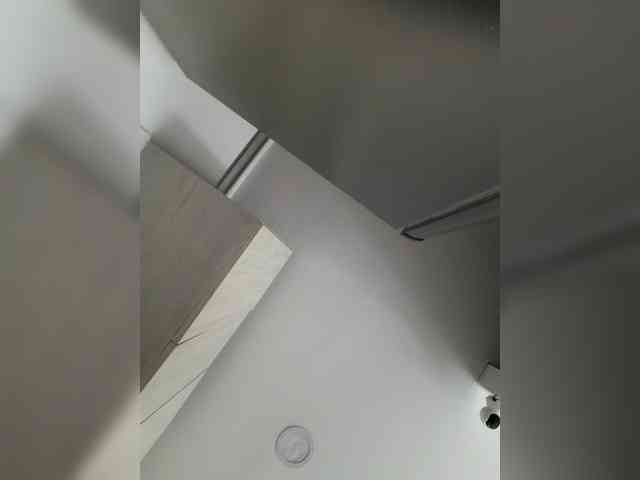 EvanShell1 webcam