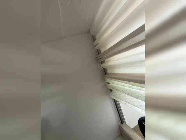 EvanShell1 webcam
