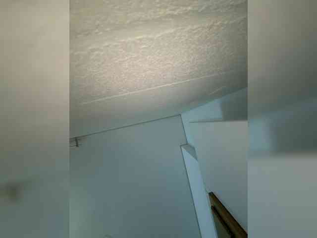 EvanShell1 webcam