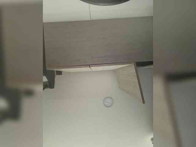 EvanShell1 webcam