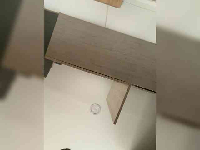 EvanShell1 webcam