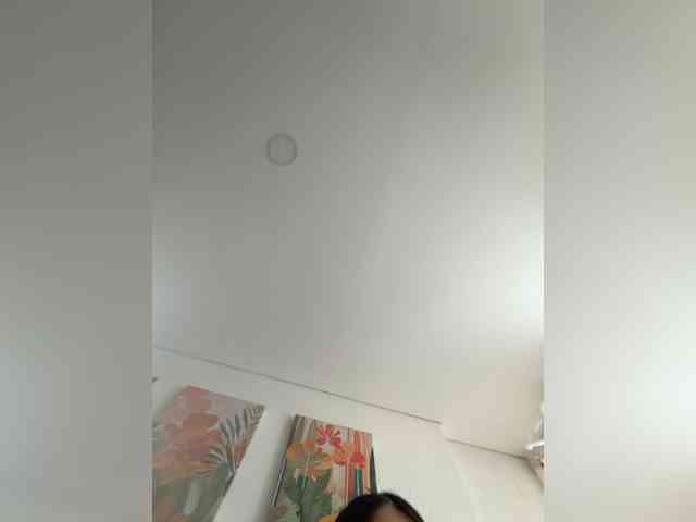 EvanShell1 webcam