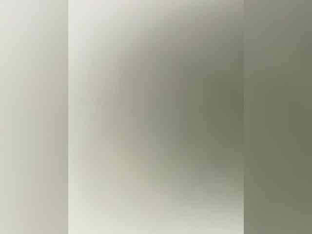 EvanShell1 webcam