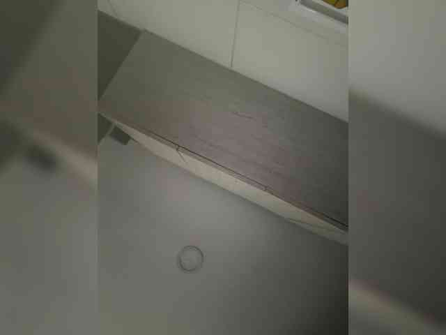 EvanShell1 webcam