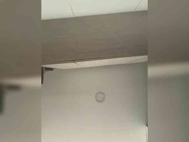 EvanShell1 webcam