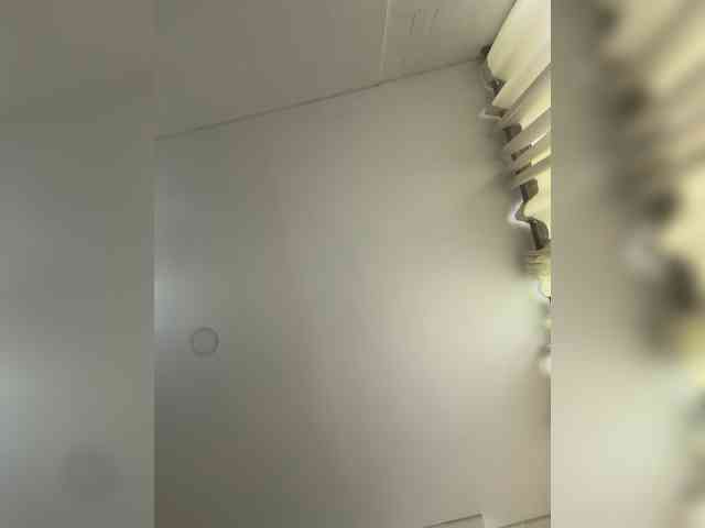 EvanShell1 webcam