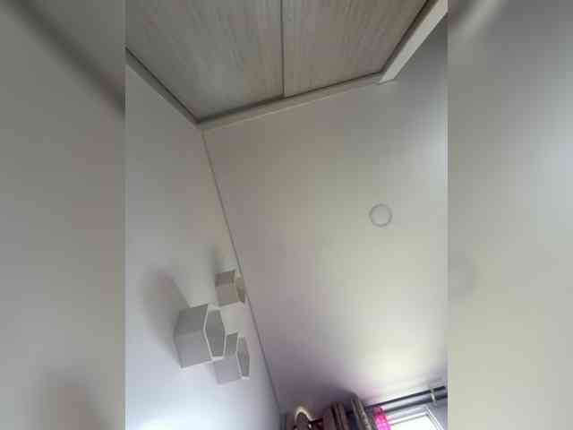 EvanShell1 webcam