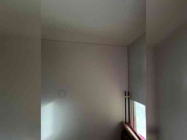 EvanShell1 webcam