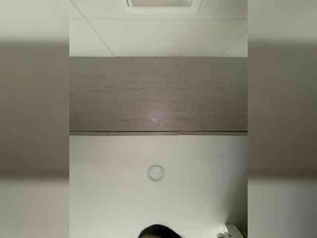 EvanShell1 webcam