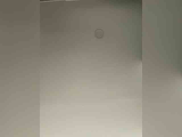 EvanShell1 webcam