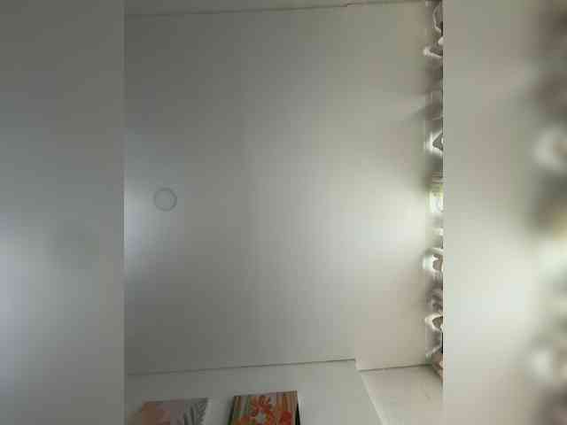 EvanShell1 webcam
