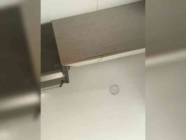 EvanShell1 webcam