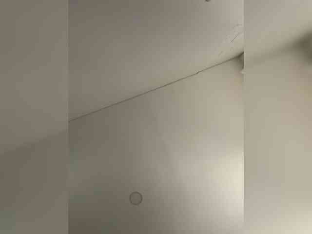 EvanShell1 webcam