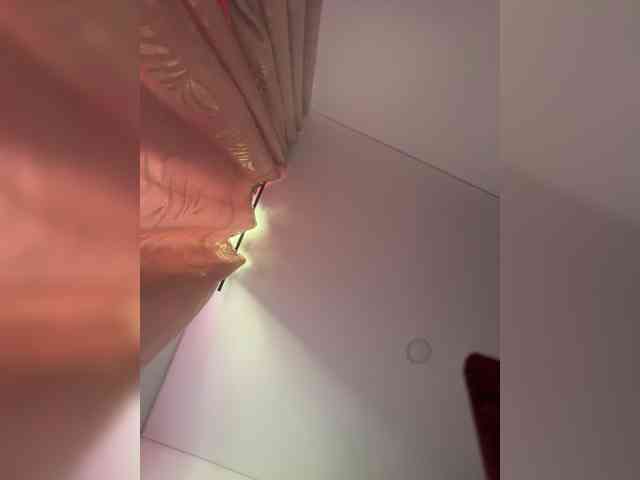 EvanShell1 webcam