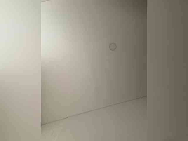 EvanShell1 webcam
