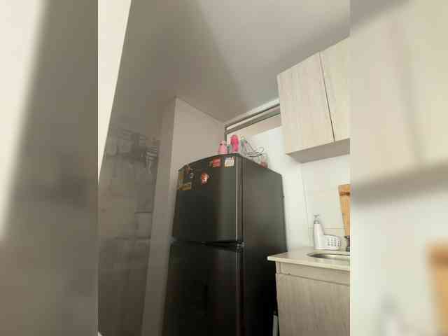 EvanShell1 webcam