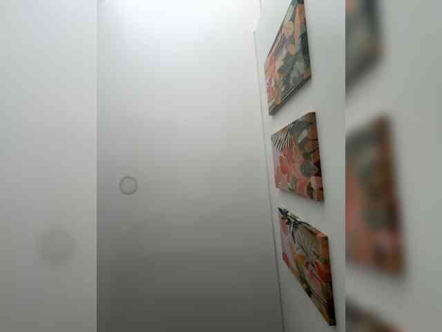 EvanShell1 webcam