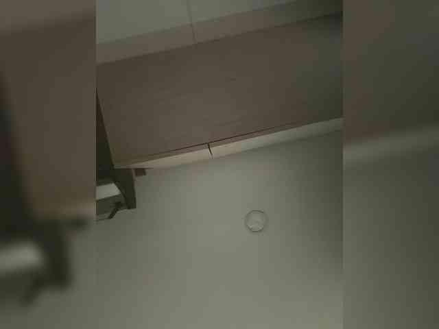 EvanShell1 webcam