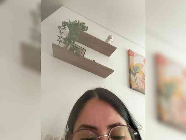 EvanShell1 webcam