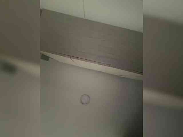 EvanShell1 webcam