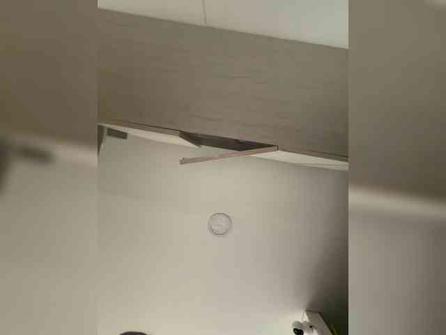 EvanShell1 webcam