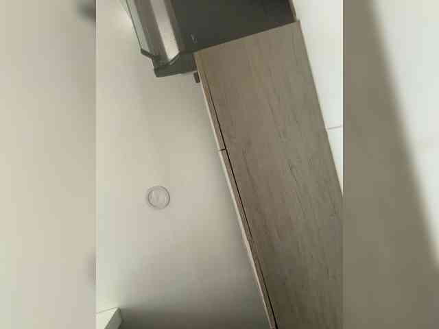EvanShell1 webcam
