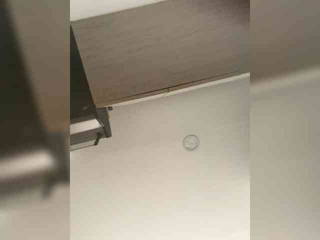 EvanShell1 webcam