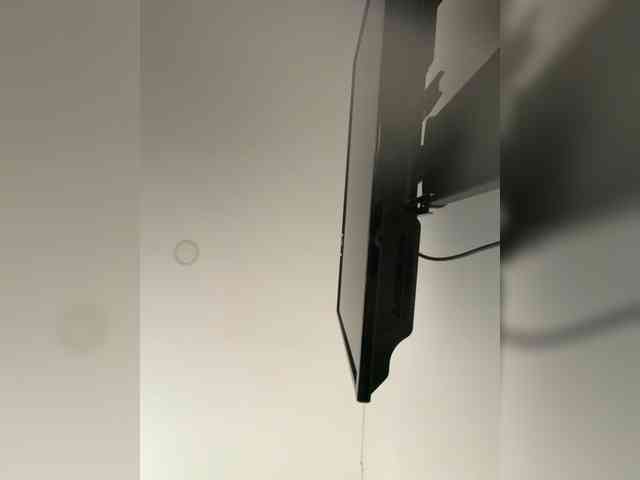 EvanShell1 webcam