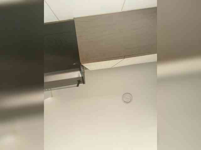 EvanShell1 webcam