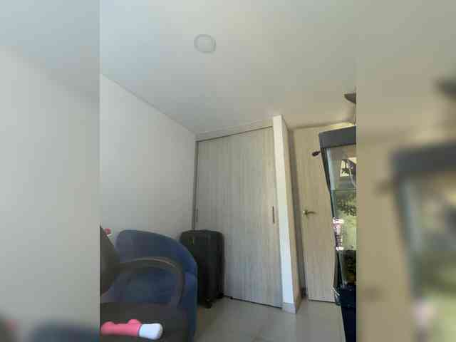 EvanShell1 webcam