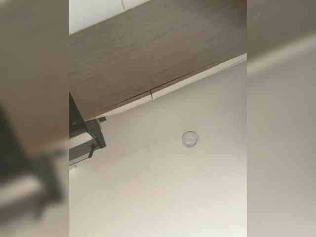 EvanShell1 webcam