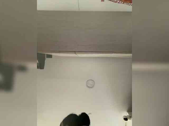 EvanShell1 webcam