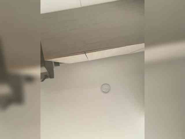 EvanShell1 webcam