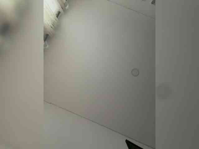 EvanShell1 webcam