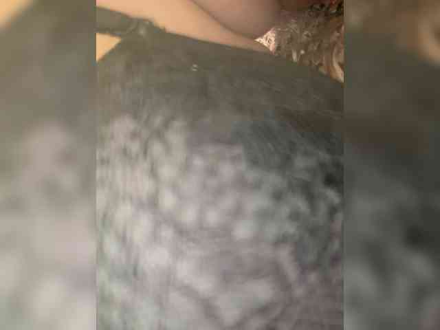EvanShell1 webcam