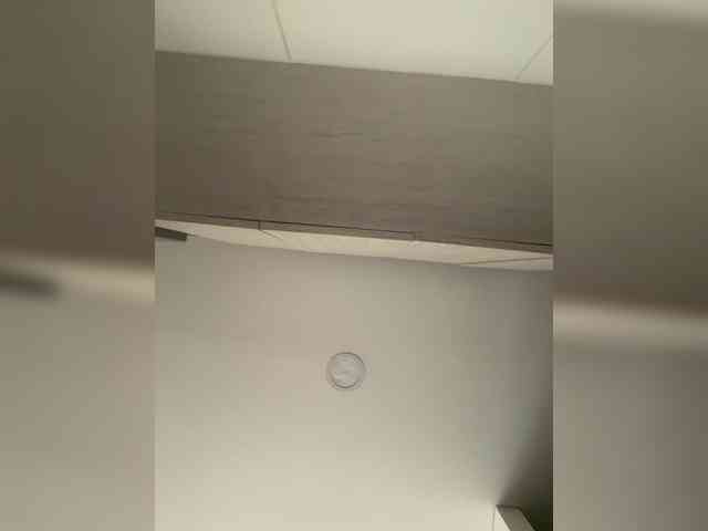 EvanShell1 webcam