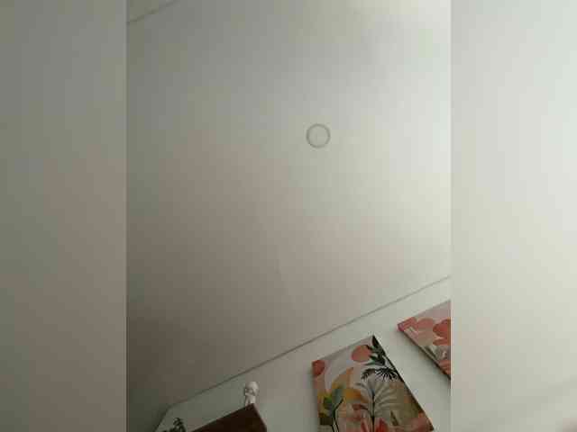 EvanShell1 webcam