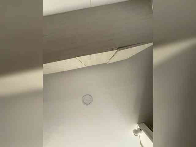 EvanShell1 webcam