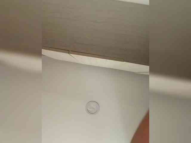 EvanShell1 webcam