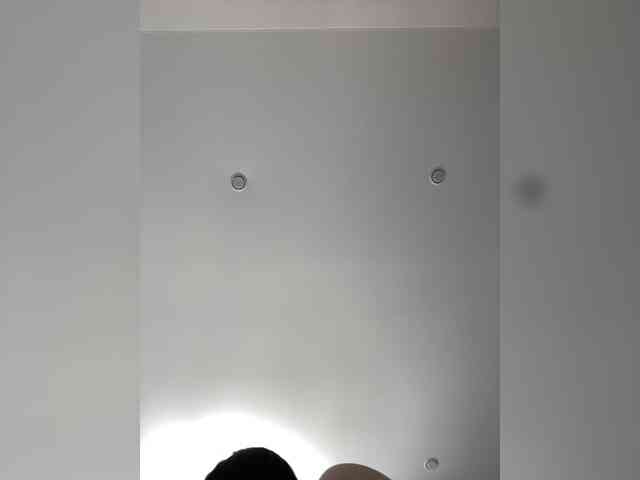 A1ka webcam
