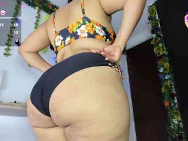 Elikolanny webcam