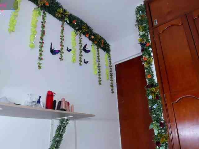 Elikolanny webcam