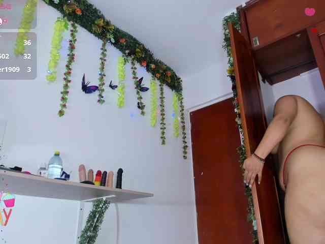 Elikolanny webcam