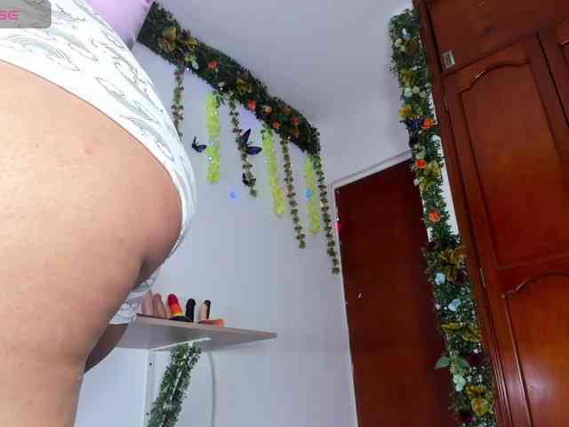 Elikolanny webcam