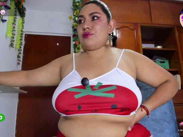 Elikolanny webcam