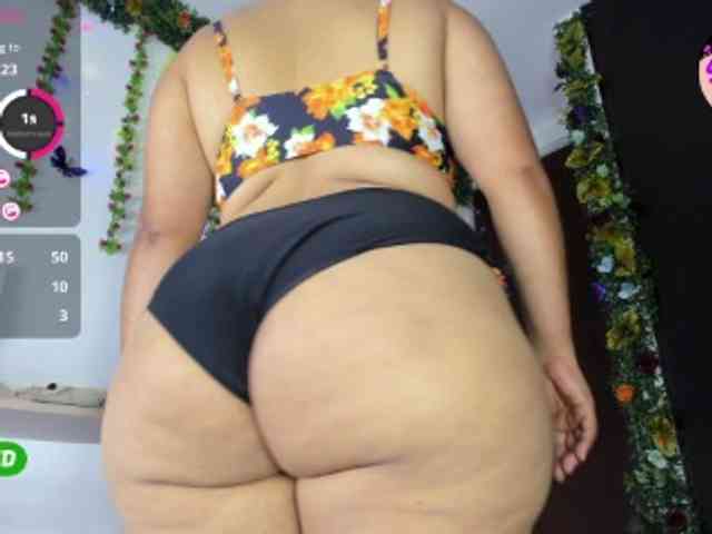 Elikolanny webcam