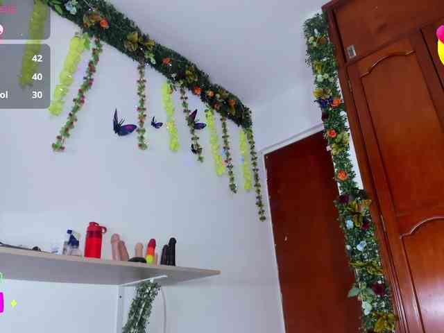 Elikolanny webcam